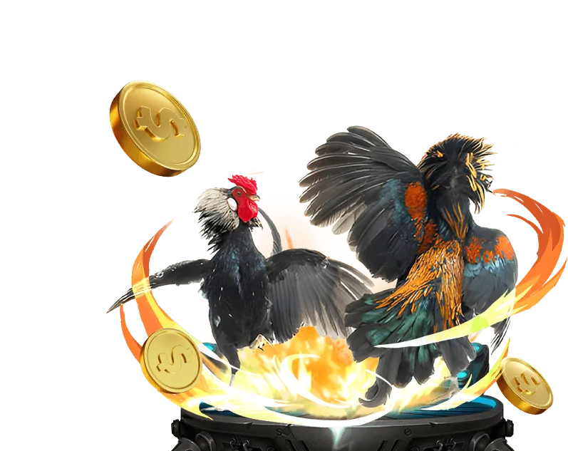 Giới thiệu về tk88